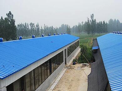 Application of color steel plate in animal husbandry